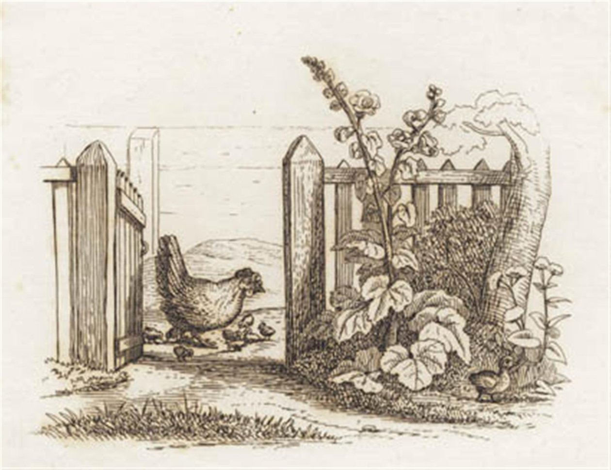 Hey tarafından "Çocuklar için Yarım Yüz Masal" için İllüstrasyon by Martinus Rørbye
