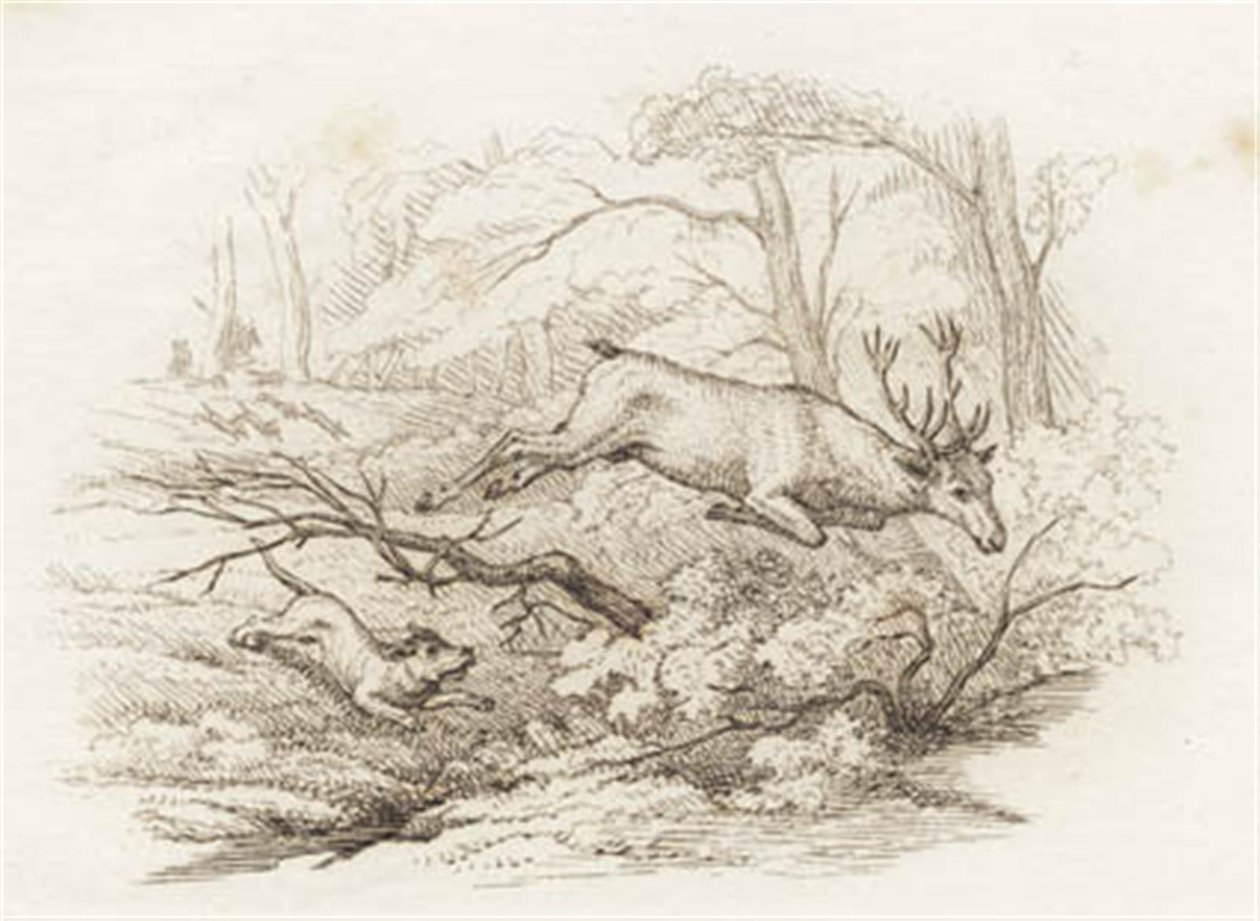 Hey tarafından "Çocuklar için Yarım Yüz Masal" için İllüstrasyon by Martinus Rørbye