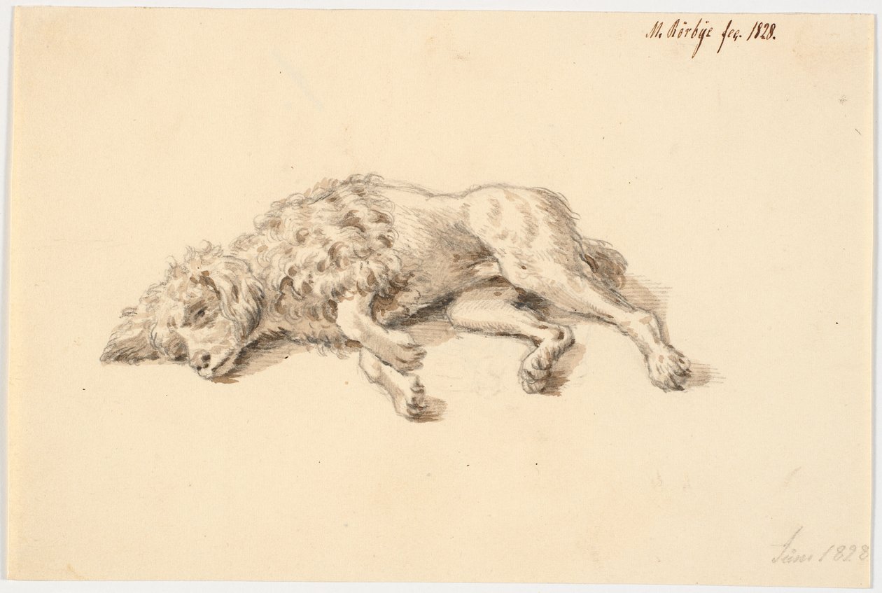 kaniş köpek yalan by Martinus Rørbye