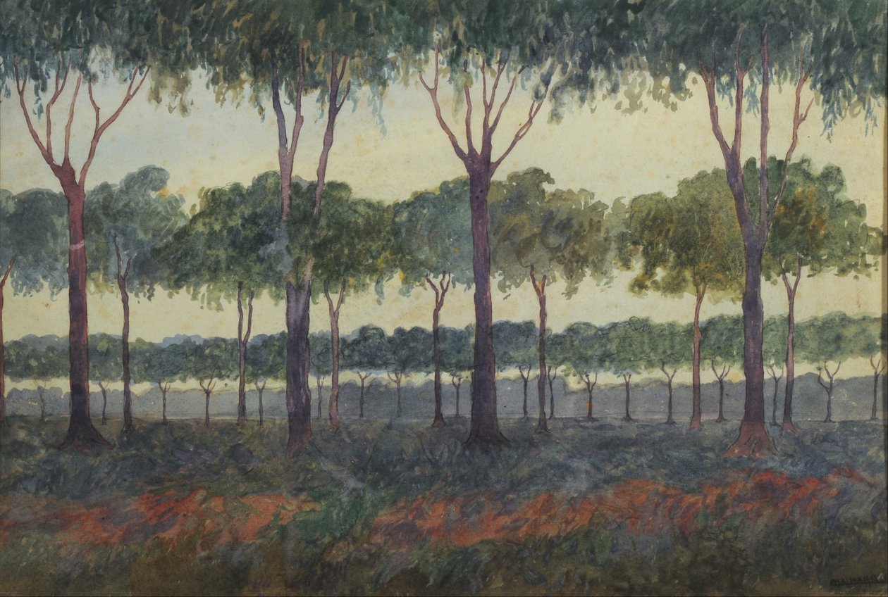  by Martín Malharro