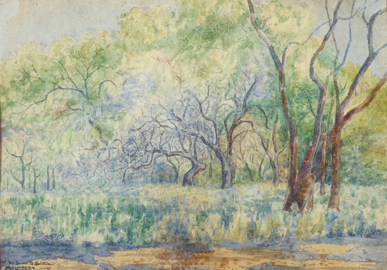  by Martín Malharro