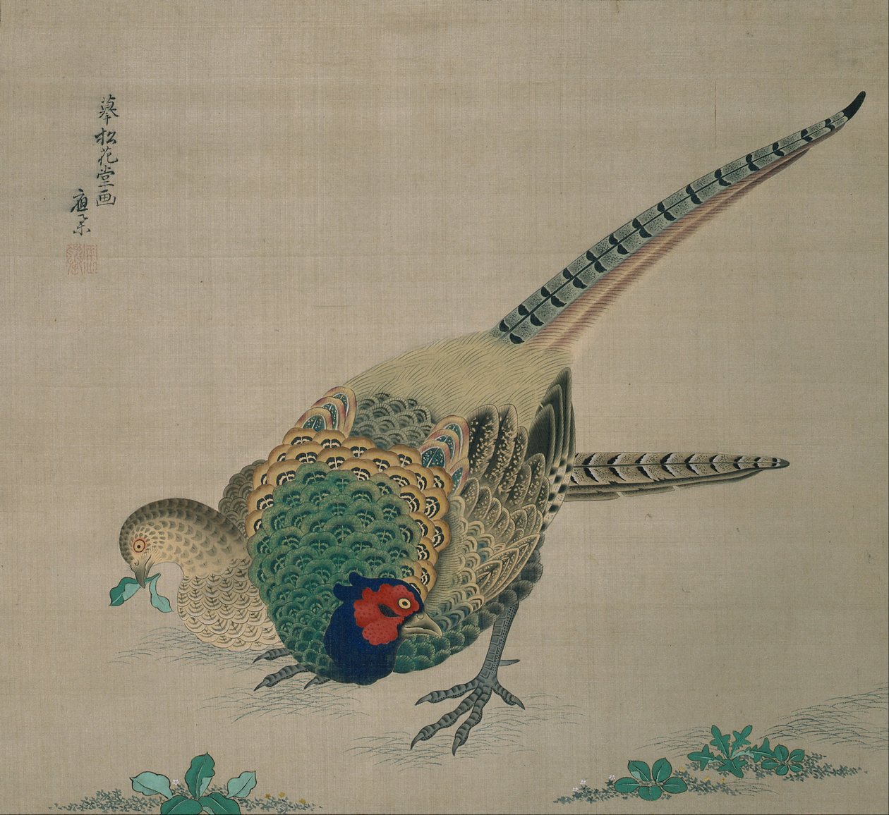 Asılı Parşömen (sülün çifti) by Maruyama Okyo
