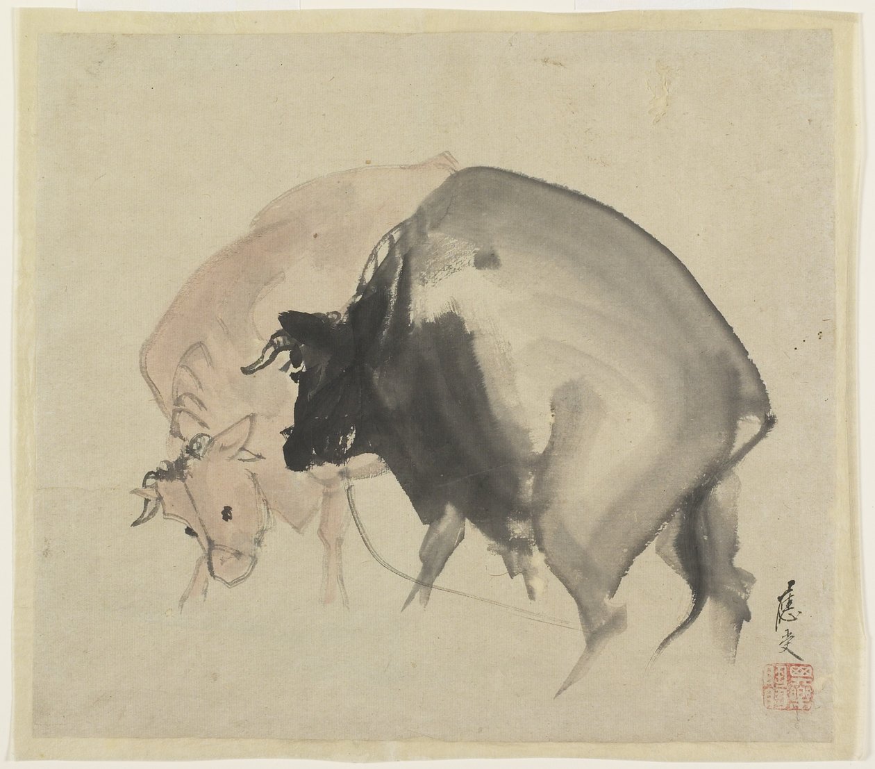 Two Bulls, c.1810 (kağıt üzerinde mürekkep ve renkler) by Maruyama Oju
