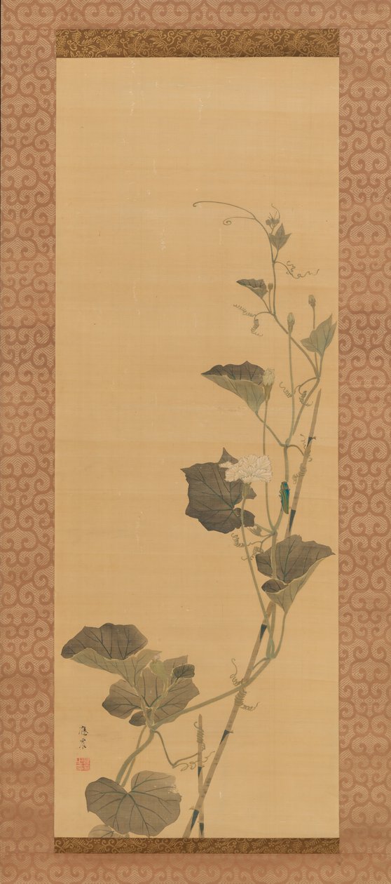 Su Kabağı Çiçekleri ve Böcek, 19. yüzyılın başlarında. by Maruyama Ôshin