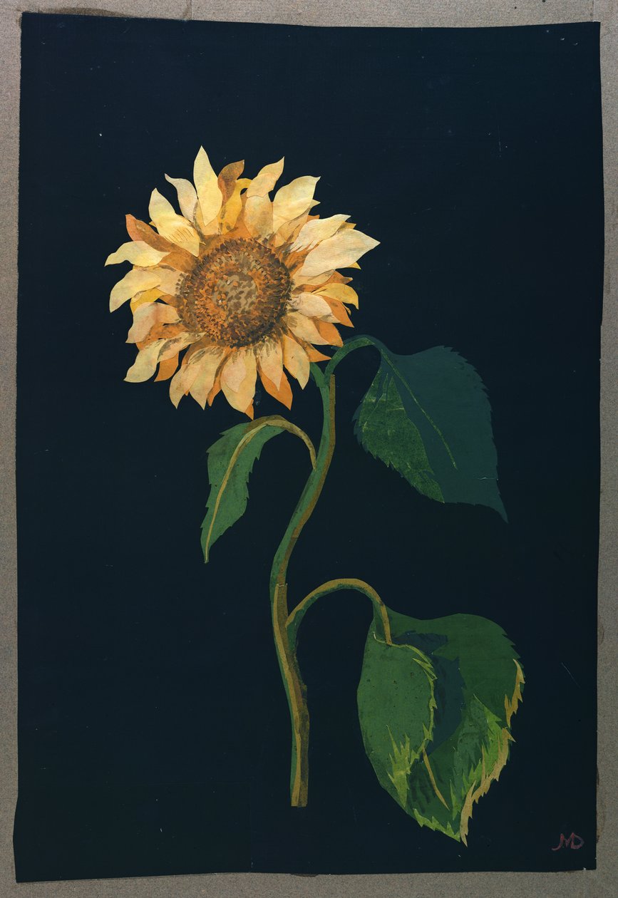 Ayçiçeği (kağıt kolaj) by Mary Granville Delany
