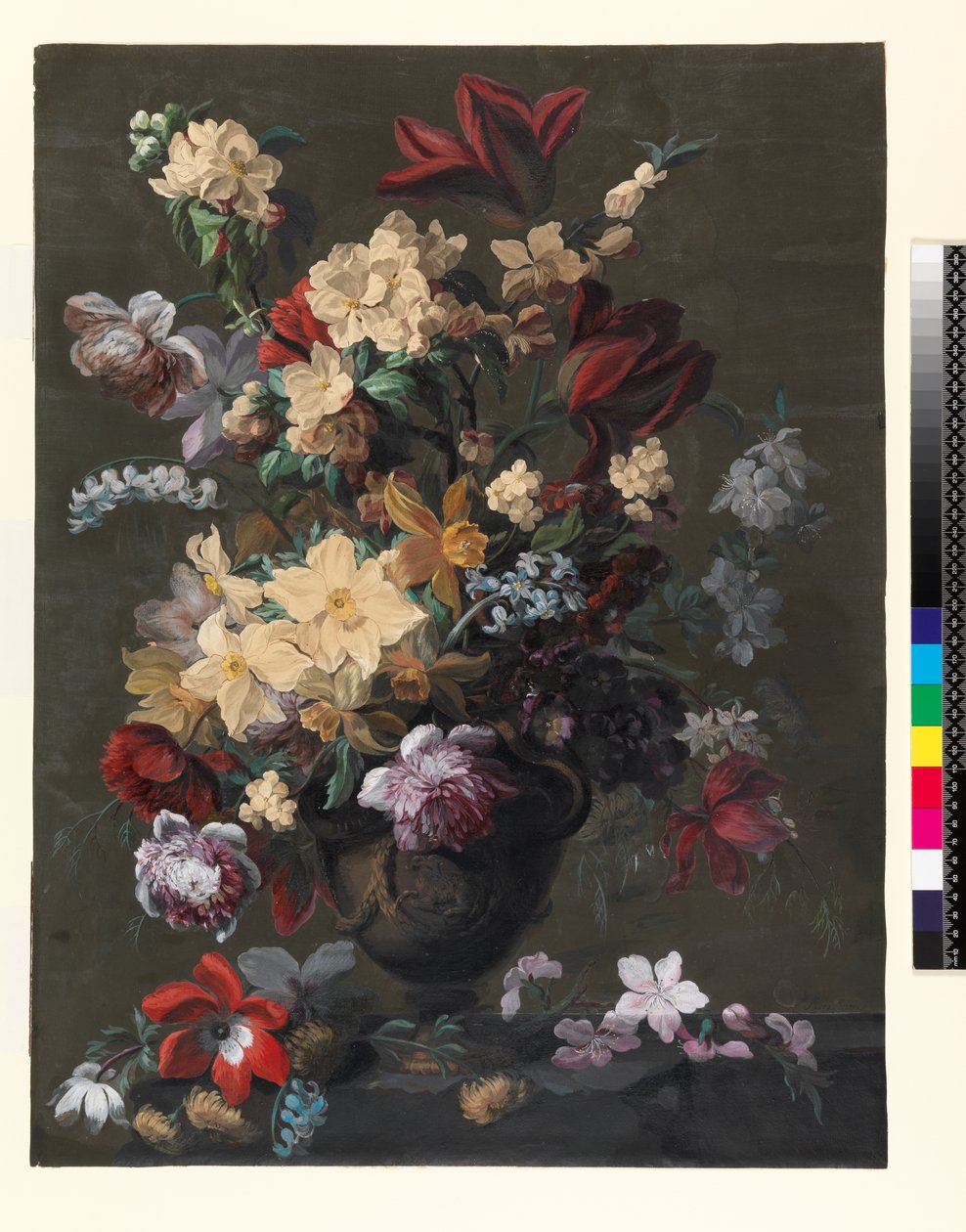 Flowers in a Vase standing on a Ledge (Aries), late 18th century (pen und ink, wc and bodycolour on a prepared dark ground) by Mary Moser