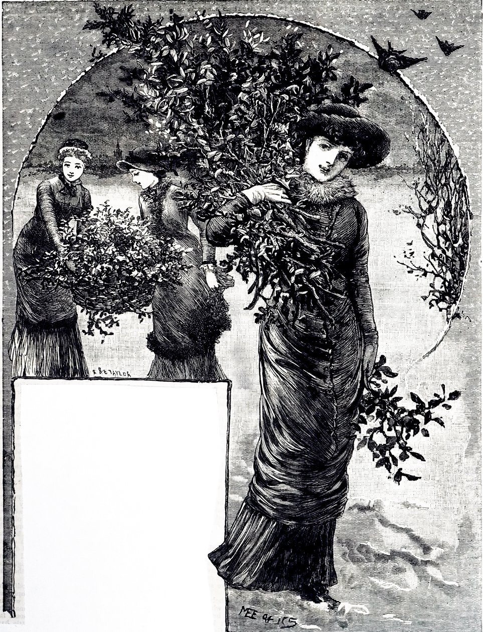 Noel dekorasyonu için kutsal ve yaprak dökmeyen koleksiyonunu gösteren bir gravür. Mary Ellen Edwards (1838-1934) tarafından çizilen bir İngiliz sanatçı ve çocuk kitapları illüstratörü by Mary Ellen Edwards