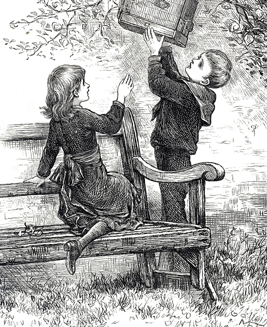 Kafeste evcil serçeleriyle çocukları tasvir eden gravür by Mary Ellen Edwards
