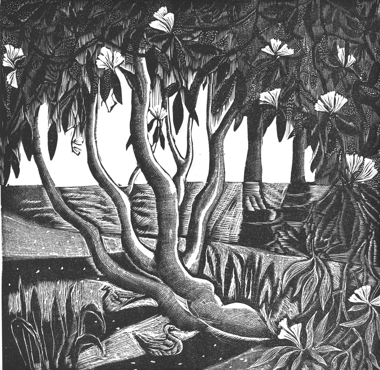 Rhododendrons, Holland Park, 2006 (vinil gravür) by Mary Kuper