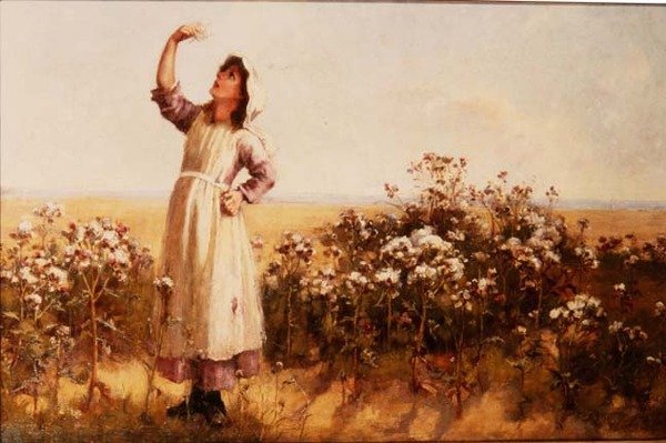devedikeni by Mary Louise Breakell