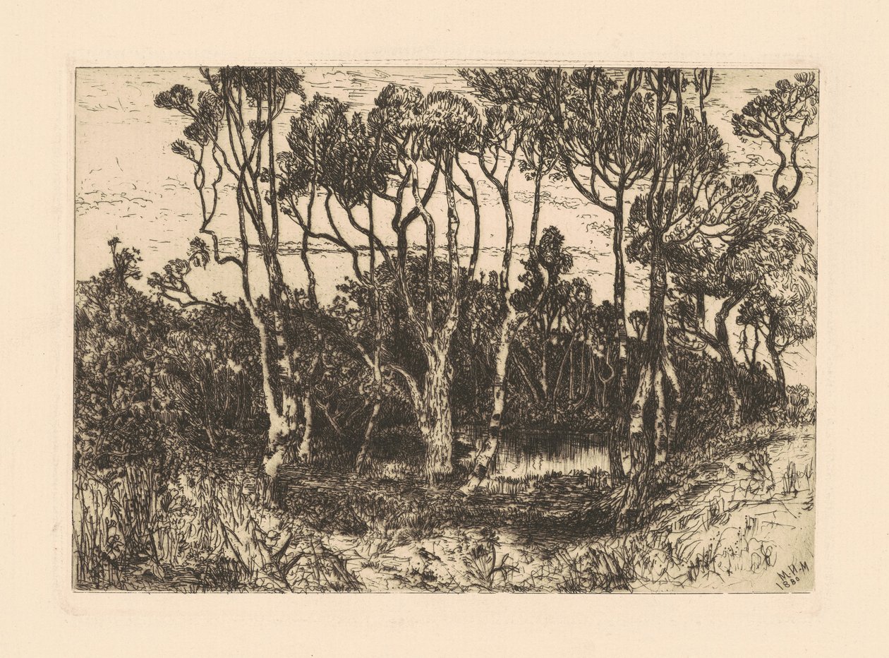 Yalnızlık by Mary Nimmo Moran
