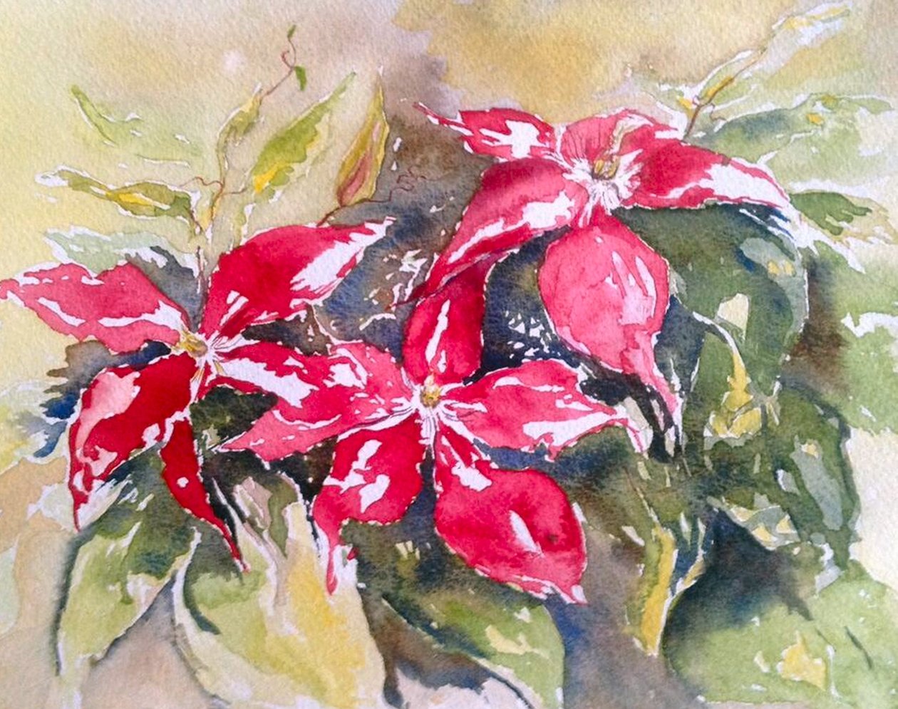 bordo akasma by Mary Smith