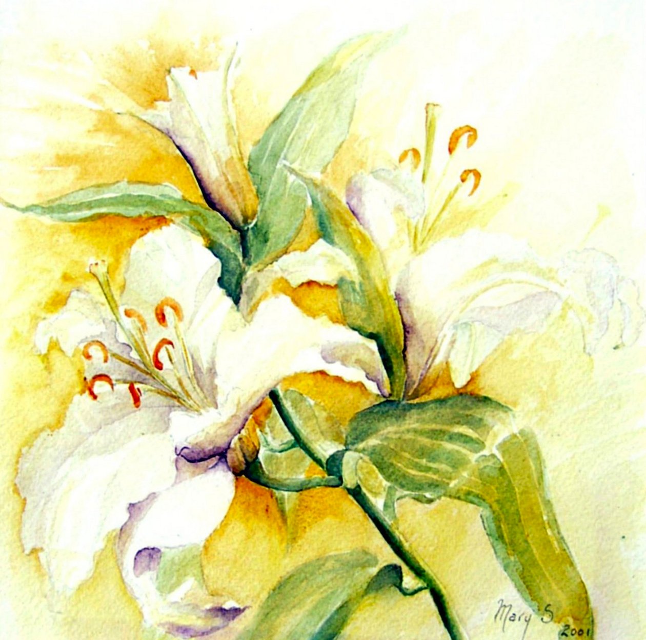 beyaz lilyum by Mary Smith