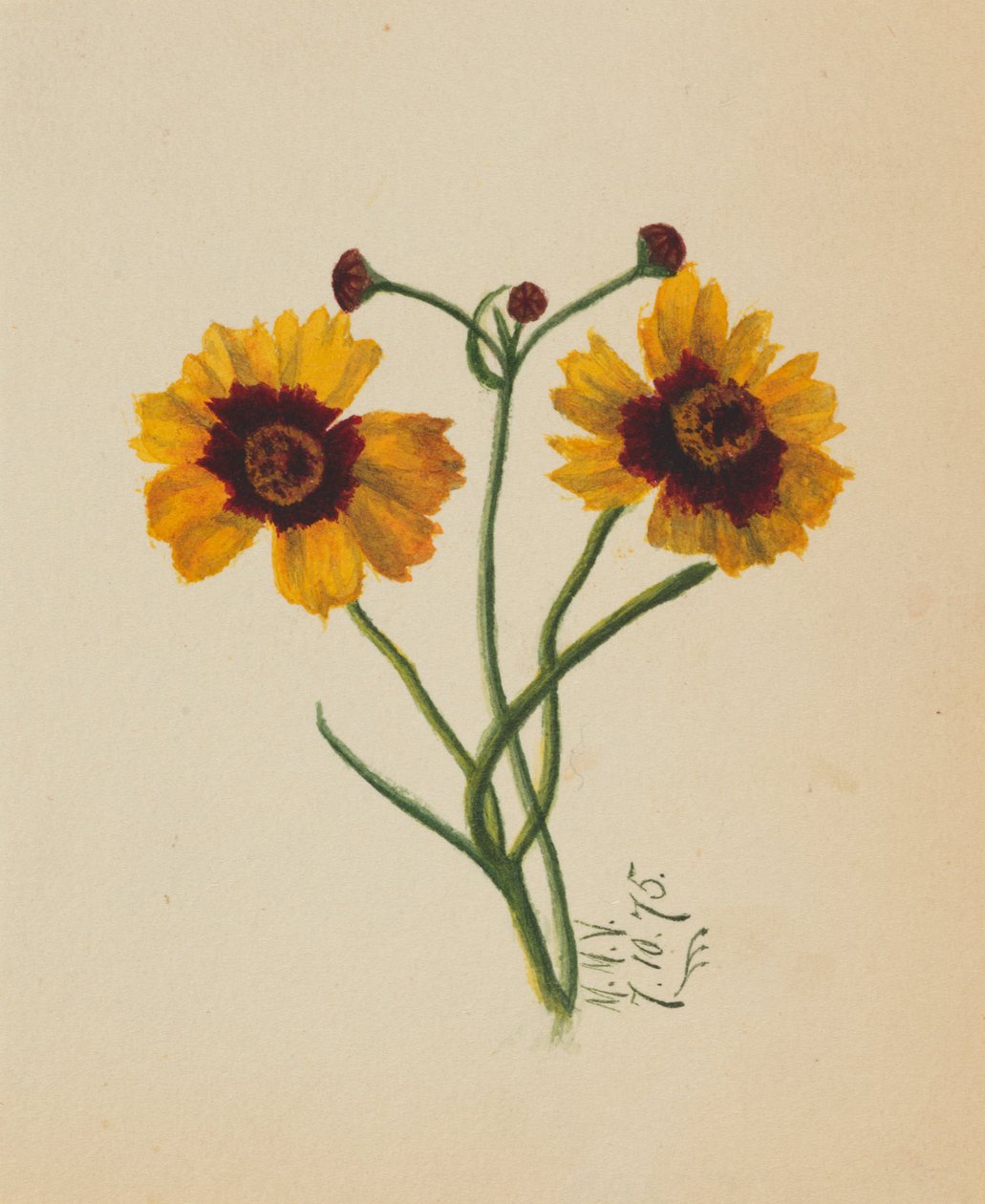  by Mary Vaux Walcott