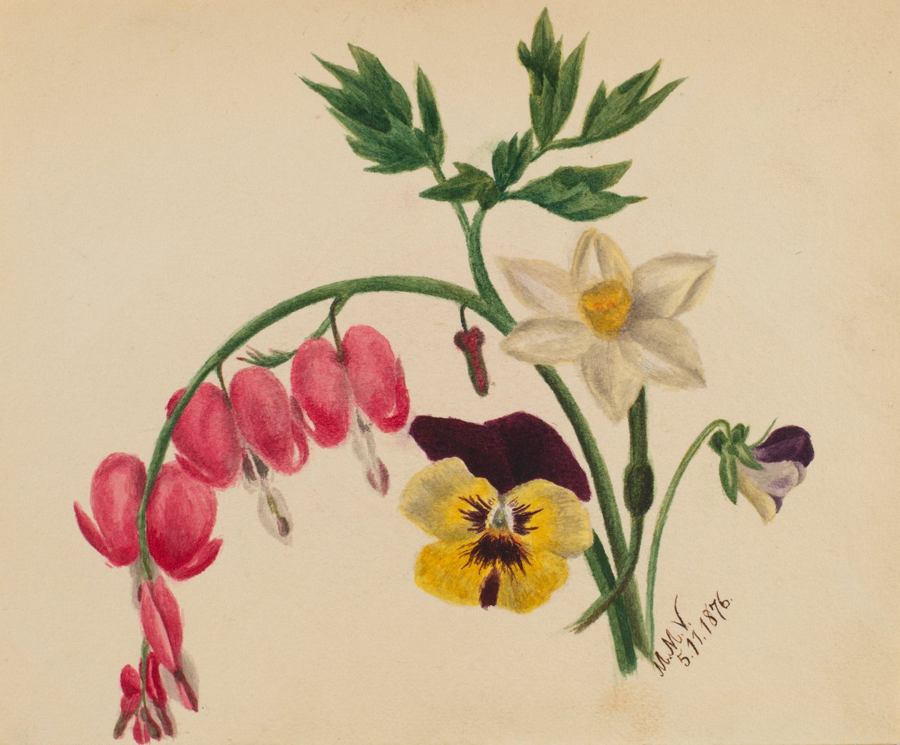  by Mary Vaux Walcott