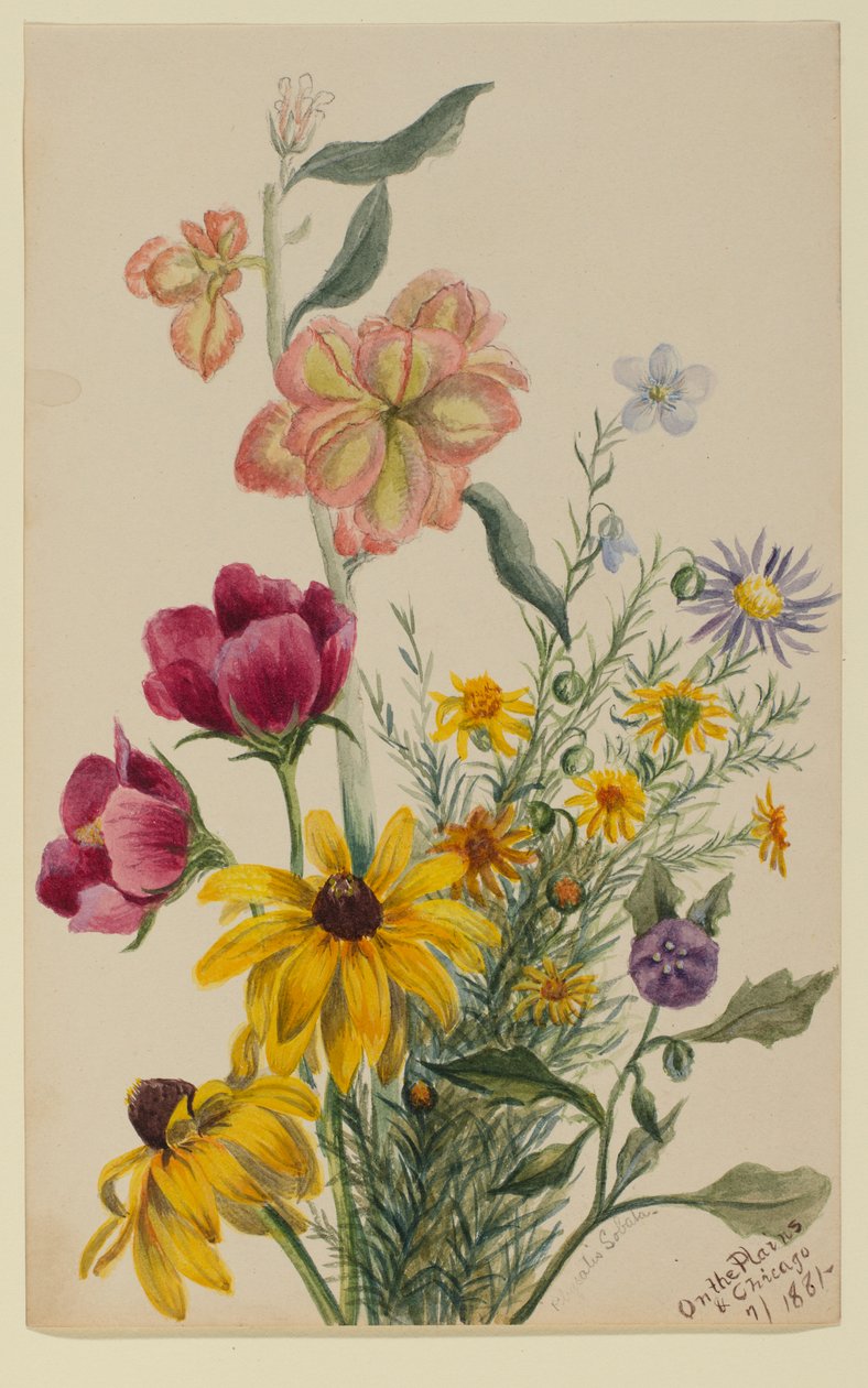  by Mary Vaux Walcott
