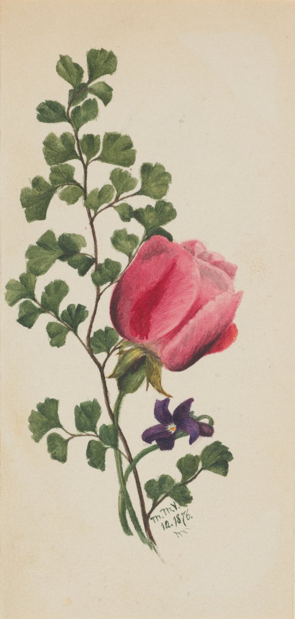  by Mary Vaux Walcott