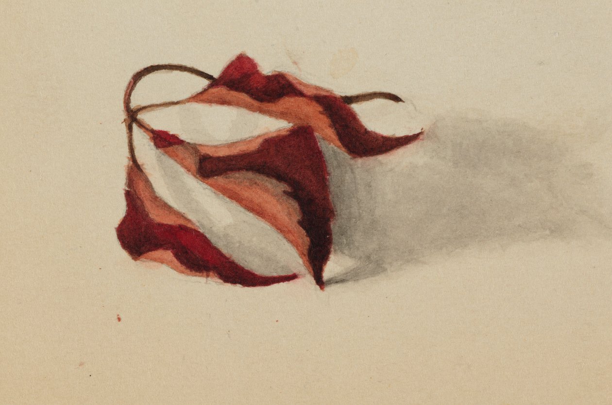  by Mary Vaux Walcott