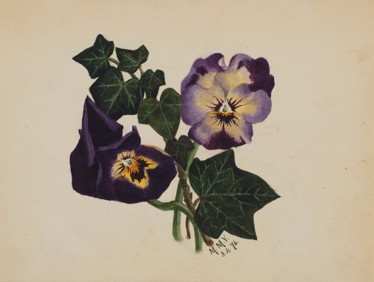  by Mary Vaux Walcott