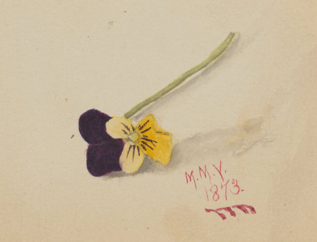  by Mary Vaux Walcott