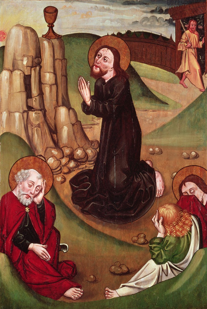 Bahçedeki Acı (panelde öfke) by Master of Janosret