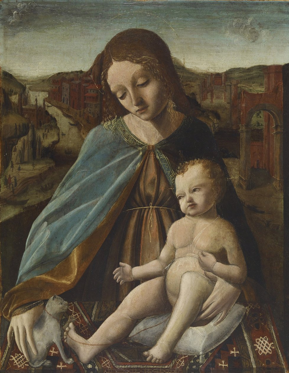 Madonna ve Kedili Çocuk, 1485-95 by Master of the Pala Sforzesca