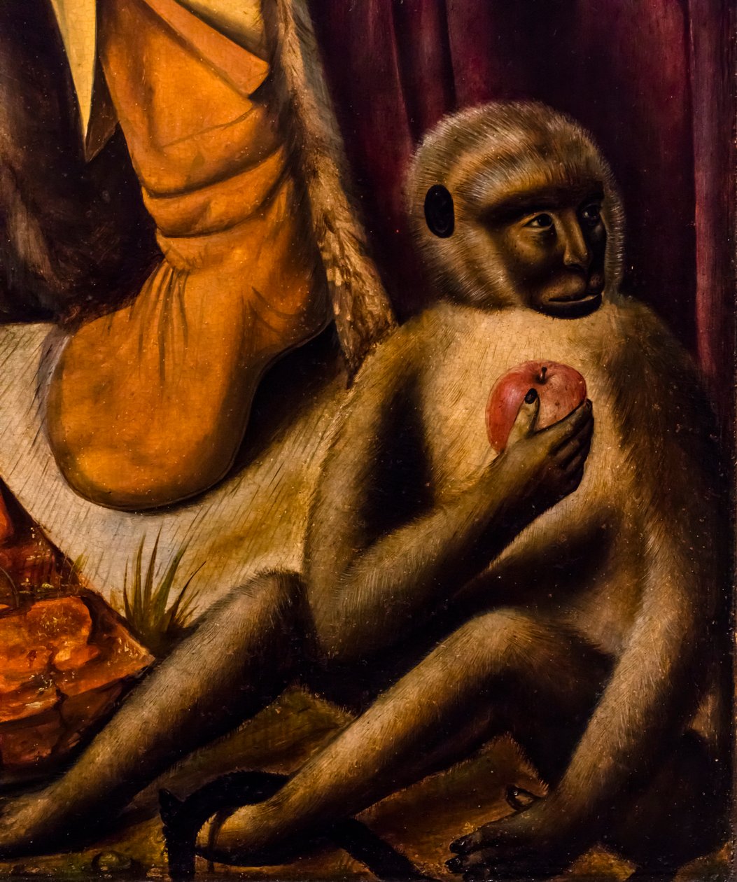 Magi