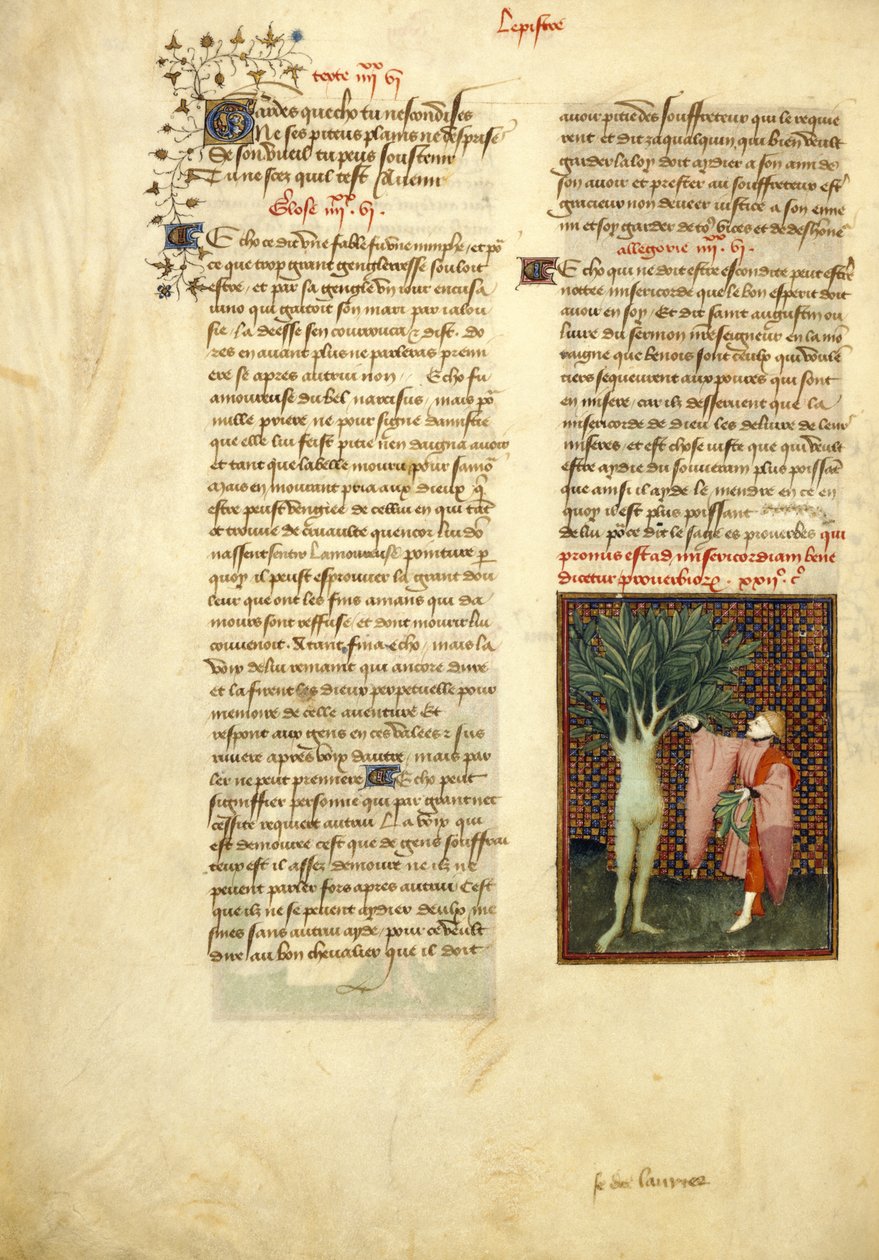 Harley 4431 , f.134v Apollo ve Daphne, 
