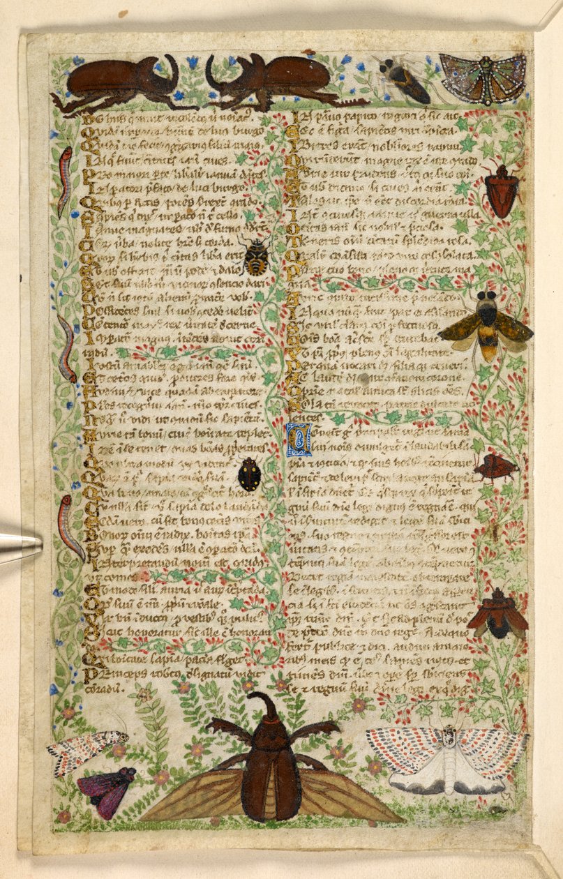 Ekle. 28841, f.4v: Bir Treatise on the Virtues and Vices