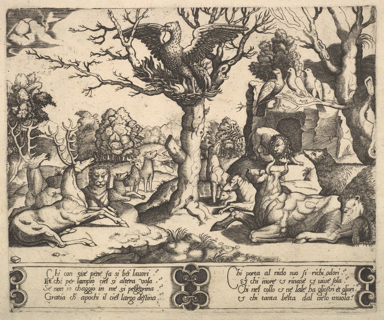 Bir ağacın tepesinde bir anka kuşu oturuyordu, kanatları açıktı, aşağıda çeşitli hayvanlar vardı, 1530-60. by Master of the Die