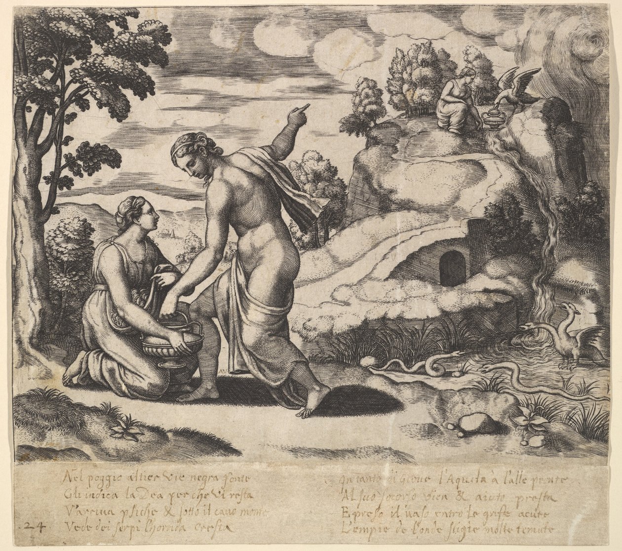 Venüs, Psyche