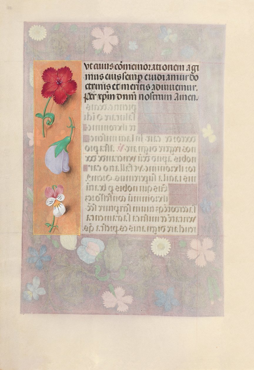 İspanya Kraliçesi Katolik Kraliçe Isabella