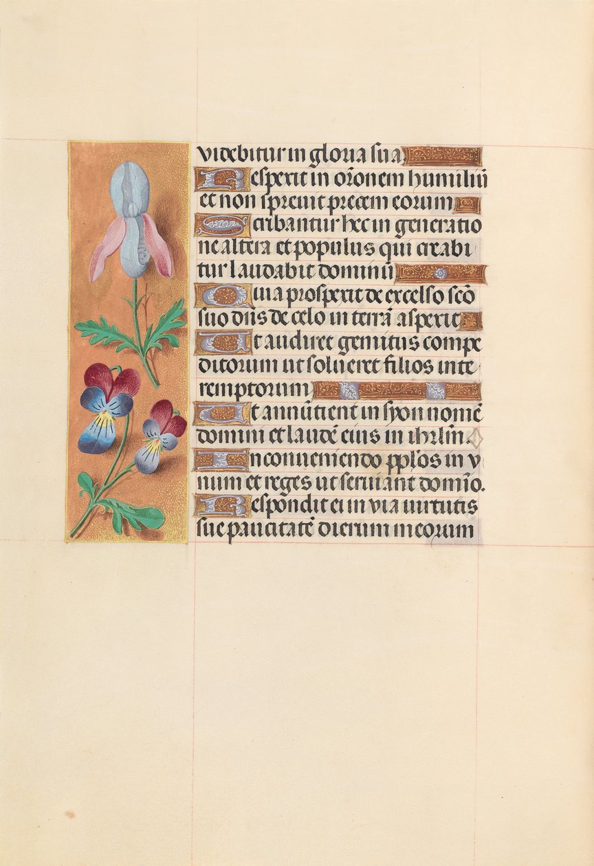 İspanya Kraliçesi Katolik Kraliçe Isabella'nın Saatleri: Fol. 207v, c. 1500. by Master of the First Prayerbook of Maximillian