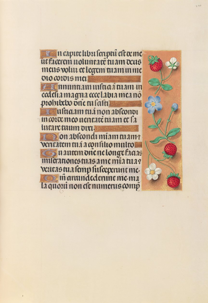 İspanya Kraliçesi Katolik Kraliçe Isabella'nın Saatleri: Fol. 240r, c. 1500. by Master of the First Prayerbook of Maximillian