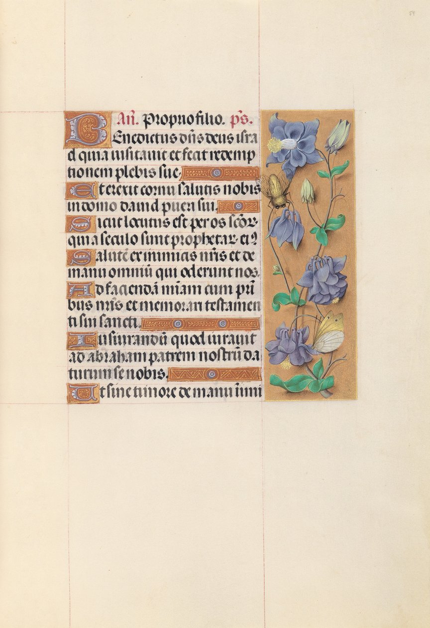  by Master of the First Prayerbook of Maximillian
