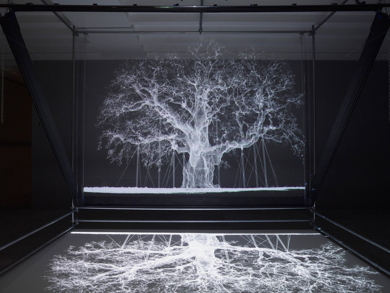  by Mat Collishaw