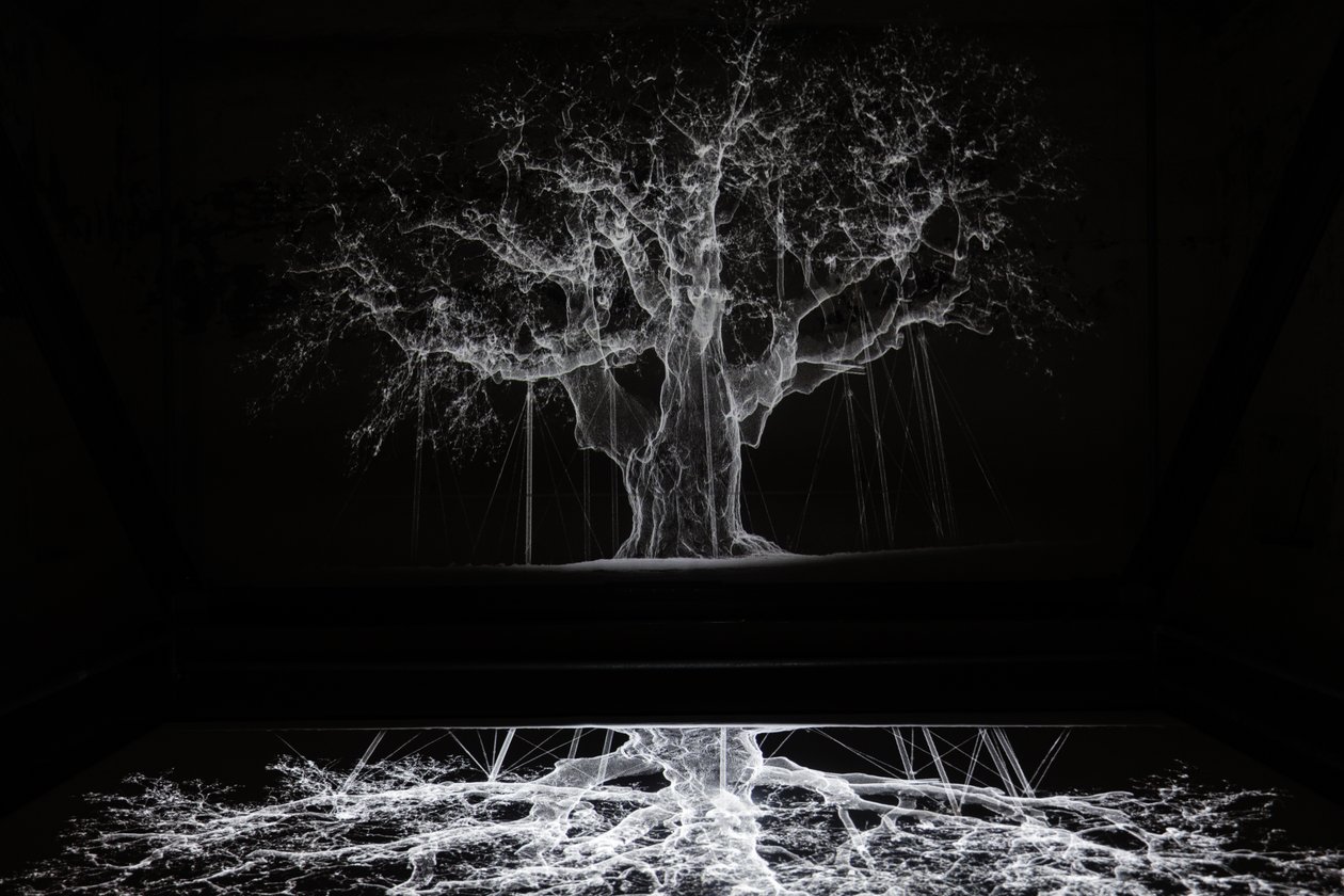  by Mat Collishaw