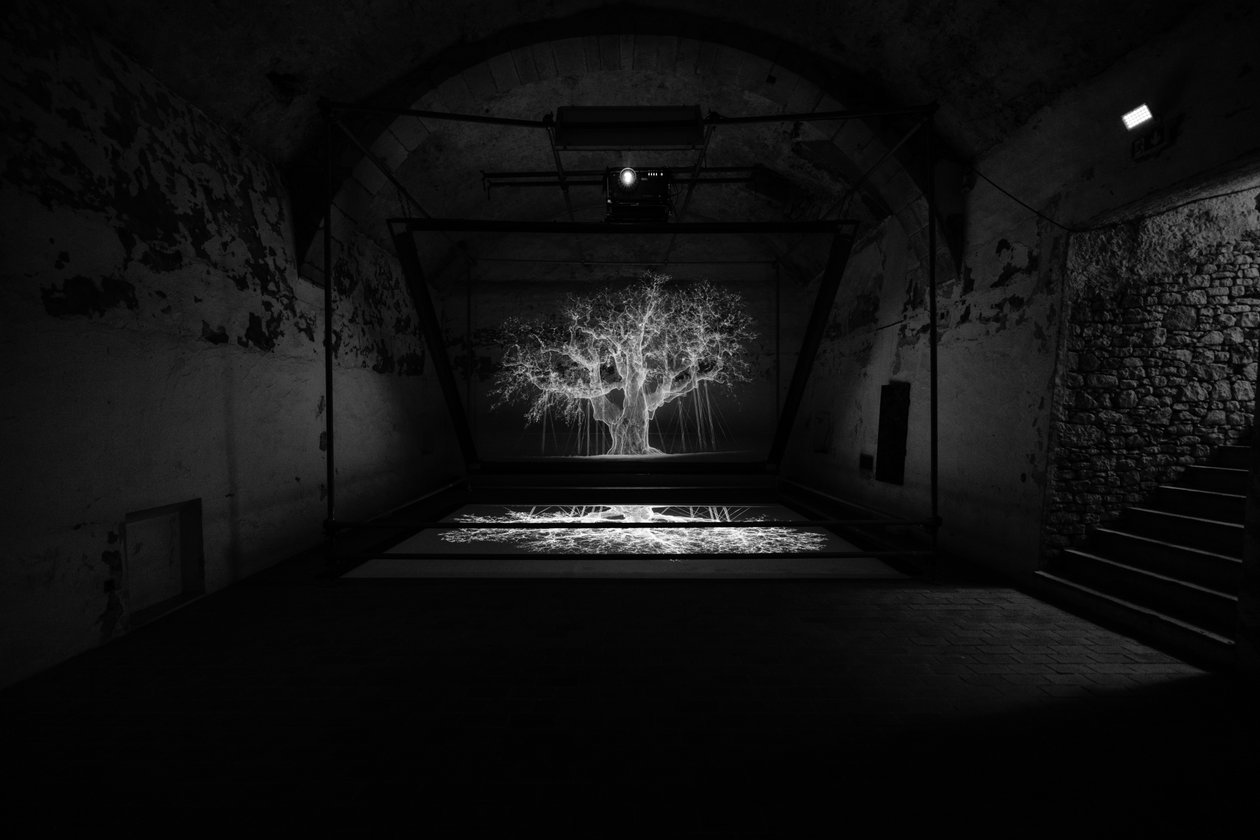  by Mat Collishaw