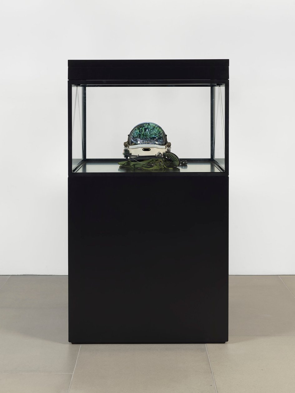  by Mat Collishaw