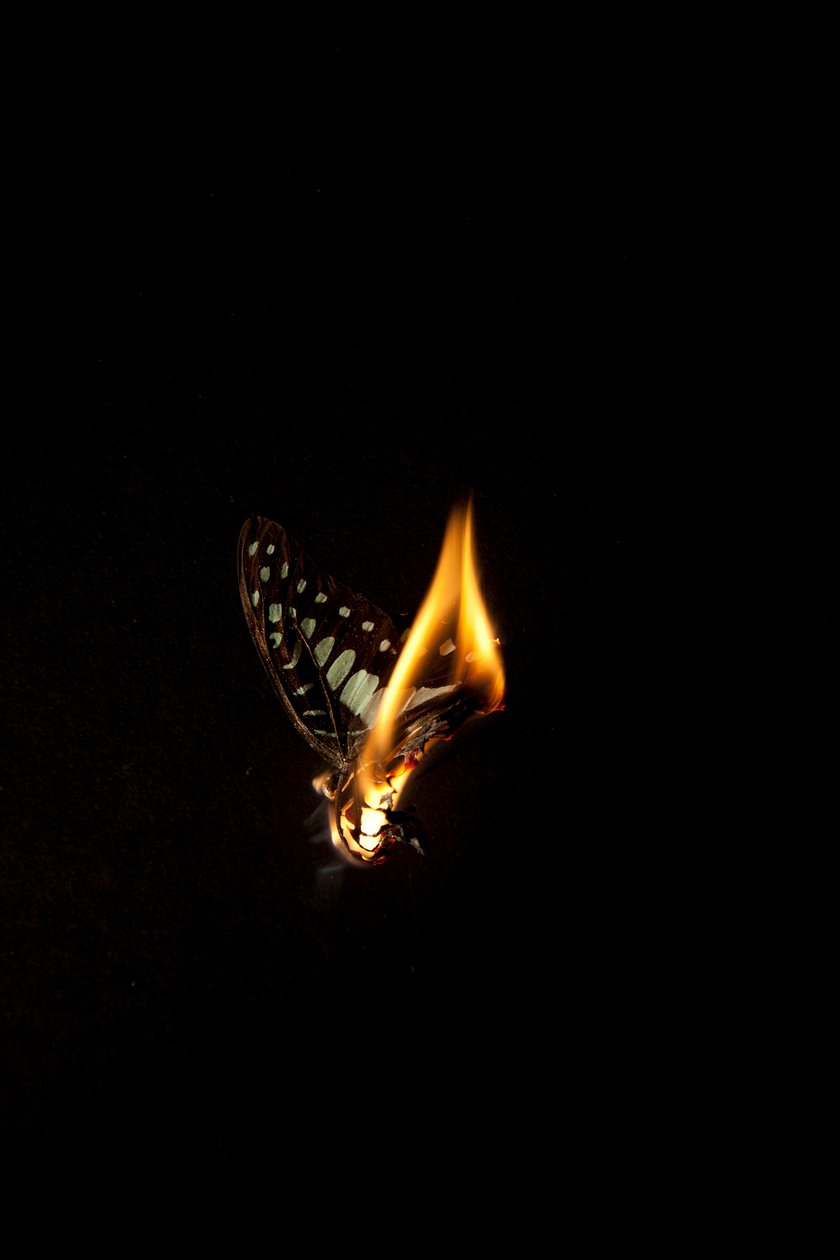  by Mat Collishaw