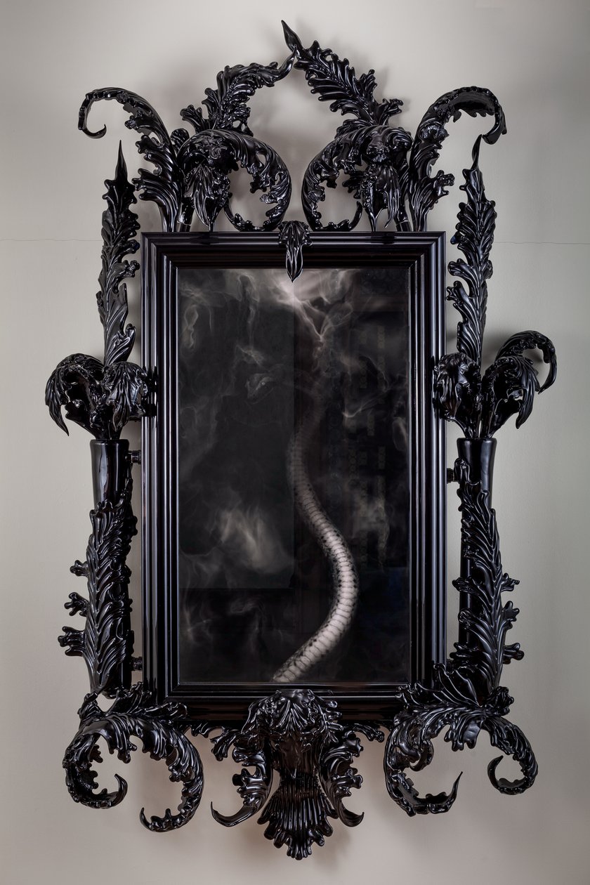  by Mat Collishaw