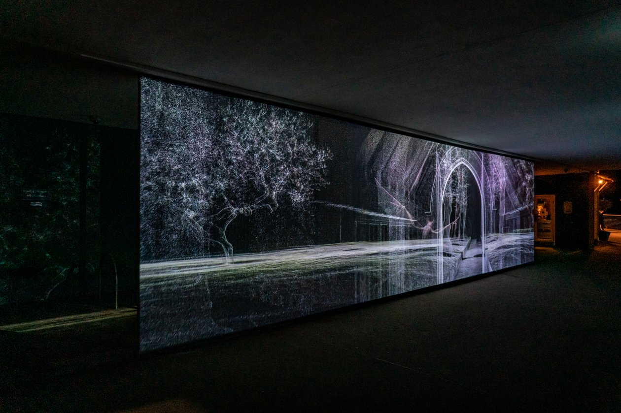  by Mat Collishaw