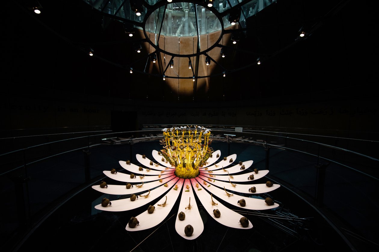  by Mat Collishaw