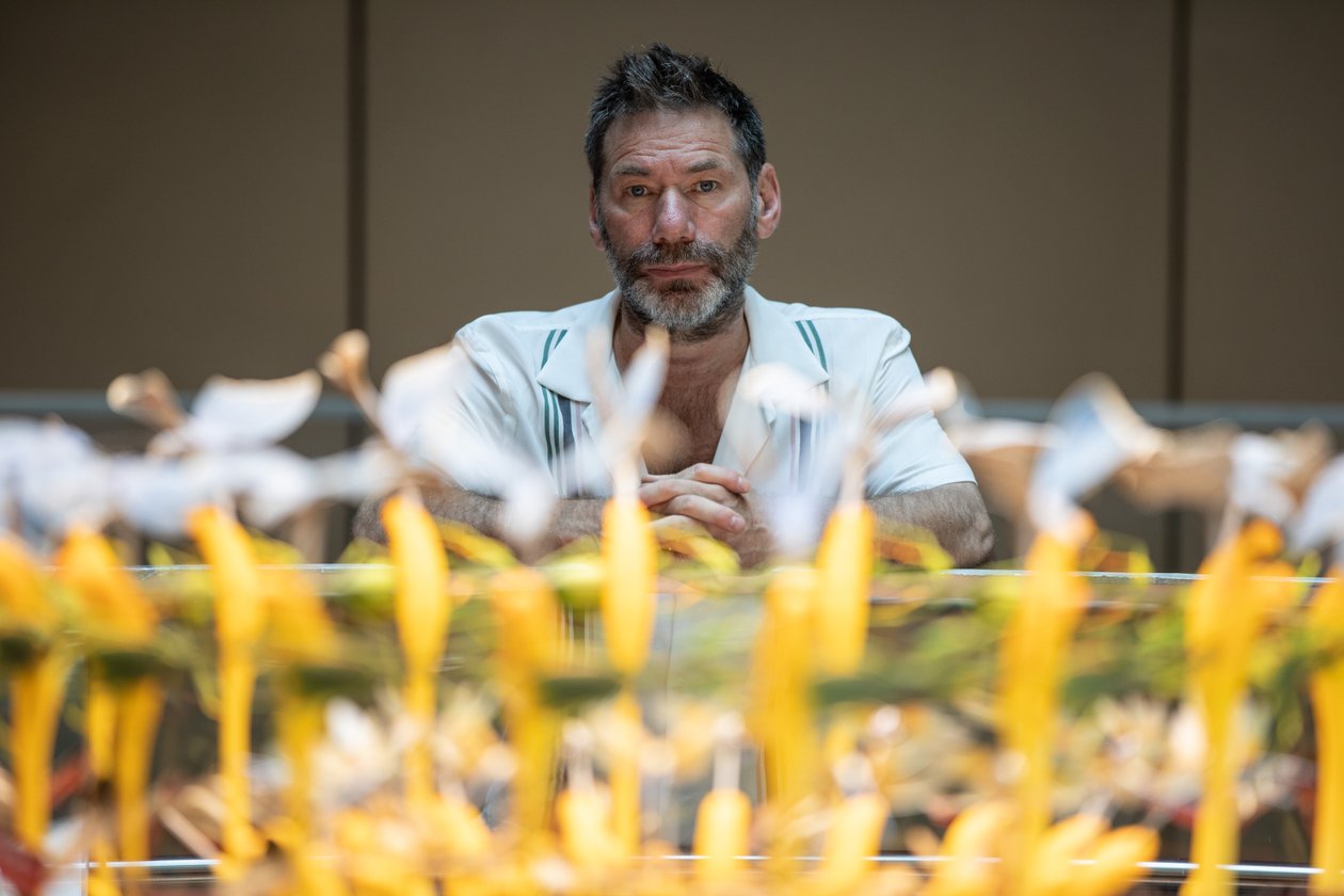  by Mat Collishaw