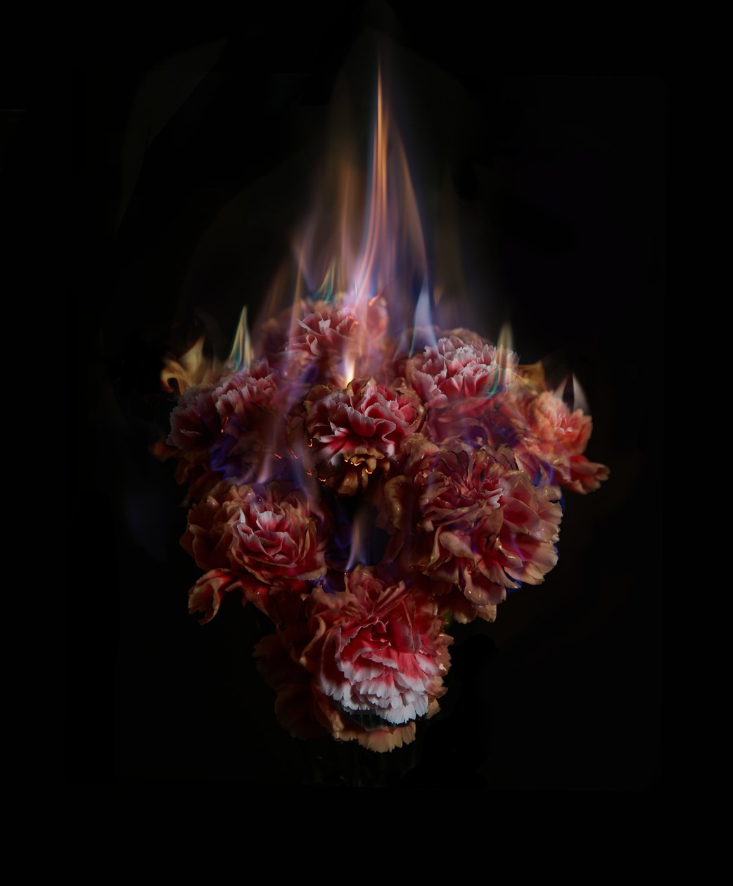  by Mat Collishaw