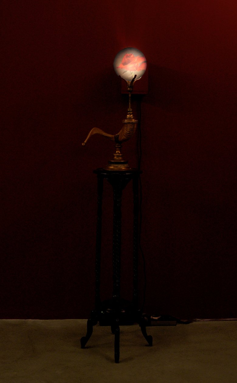  by Mat Collishaw