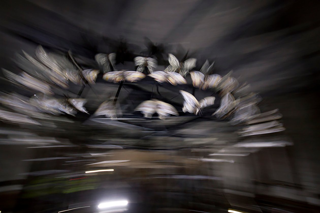  by Mat Collishaw
