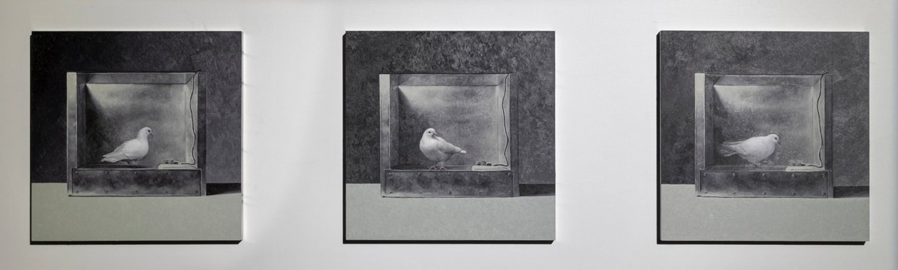 Edimsel Koşullandırma Odası 3, 2022 (Alüminyum Panel Üzerine Yağlıboya) by Mat Collishaw