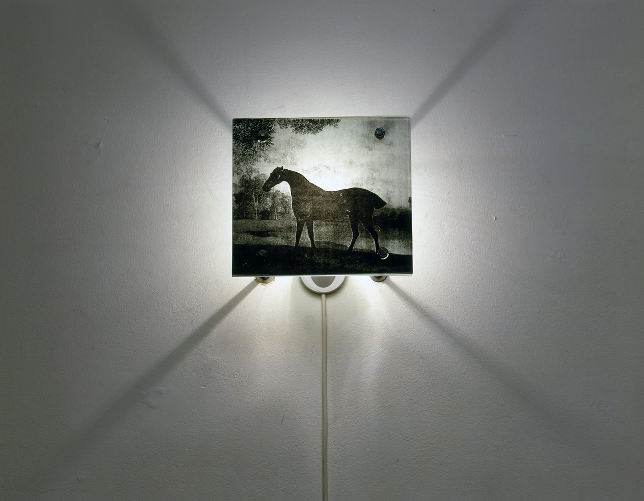  by Mat Collishaw