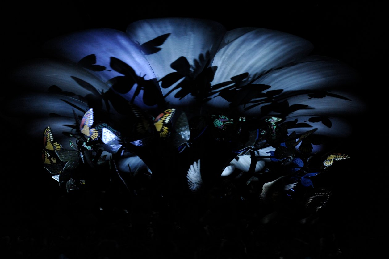  by Mat Collishaw